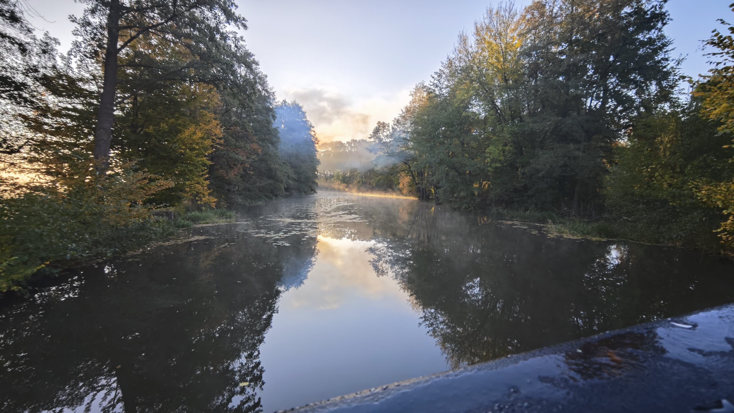 Wschód słońca we mgle nad stawem